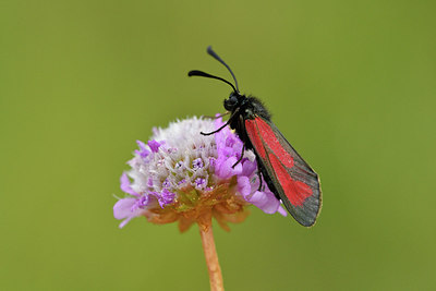 BUITEN BEELD Foto: 298213