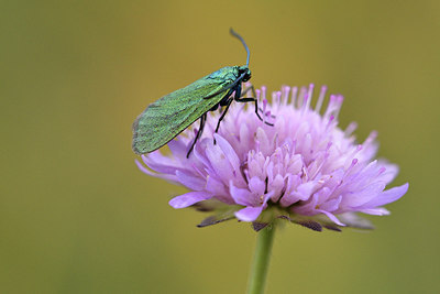 BUITEN BEELD Foto: 298217