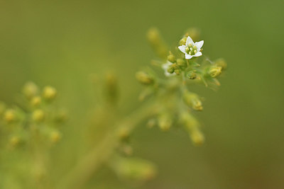 BUITEN BEELD Foto: 298220