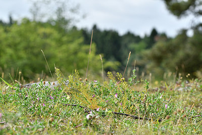 BUITEN BEELD Foto: 298224