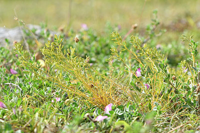 BUITEN BEELD Foto: 298226