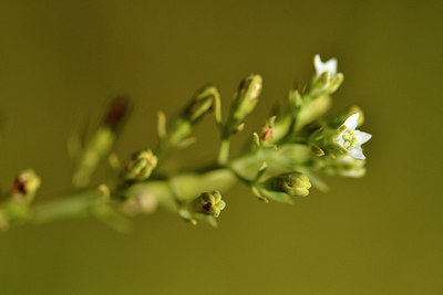 BUITEN BEELD Foto: 298228