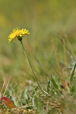 BUITEN BEELD Foto: 298244
