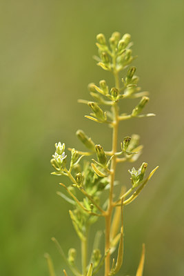 BUITEN BEELD Foto: 298246