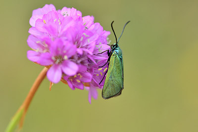 BUITEN BEELD Foto: 298247