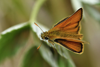 BUITEN BEELD Foto: 298253