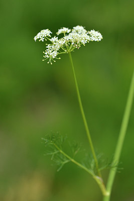 BUITEN BEELD Foto: 298270