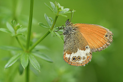 BUITEN BEELD Foto: 298276