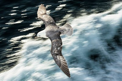 BUITEN BEELD Foto: 298309