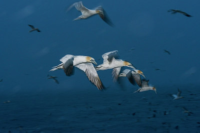 BUITEN BEELD Foto: 298321