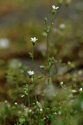 BUITEN BEELD Foto: 298360