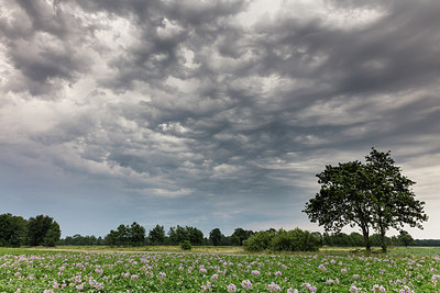 BUITEN BEELD Foto: 298381