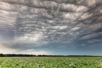 BUITEN BEELD Foto: 298382