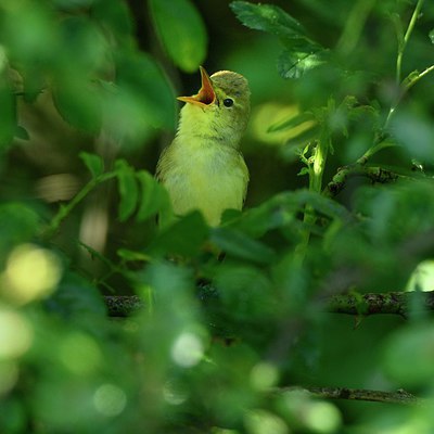 BUITEN BEELD Foto: 298397