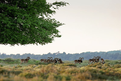 BUITEN BEELD Foto: 298573