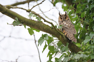 BUITEN BEELD Foto: 298584