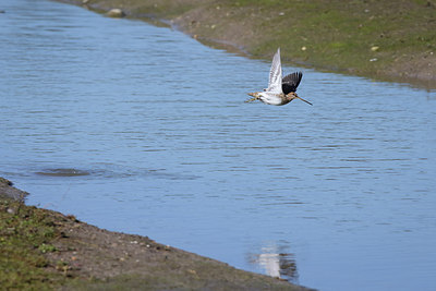 BUITEN BEELD Foto: 298594