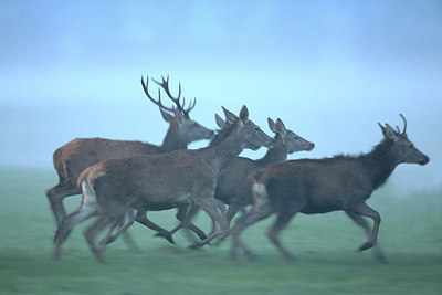 BUITEN BEELD Foto: 298601