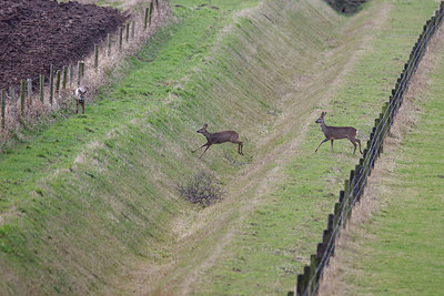 BUITEN BEELD Foto: 298612