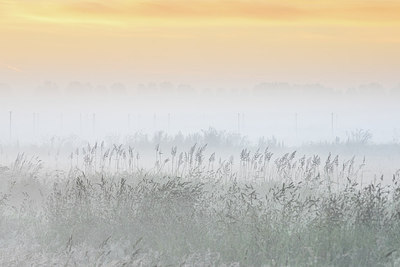 BUITEN BEELD Foto: 298619