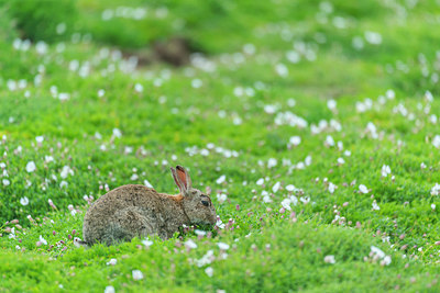 BUITEN BEELD Foto: 298676