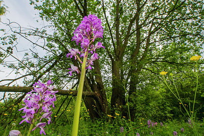 BUITEN BEELD Foto: 298721