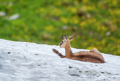 BUITEN BEELD Foto: 298752