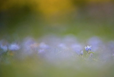 BUITEN BEELD Foto: 298795