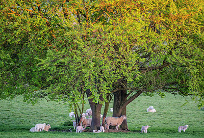 BUITEN BEELD Foto: 298805