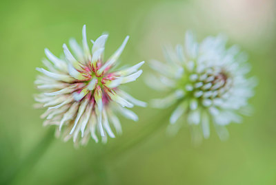 BUITEN BEELD Foto: 298866