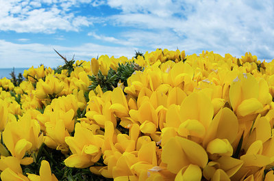 BUITEN BEELD Foto: 298886