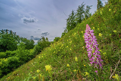 BUITEN BEELD Foto: 298988