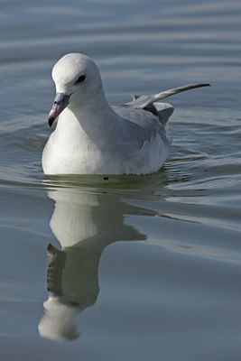 BUITEN BEELD Foto: 2126