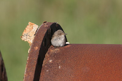 BUITEN BEELD Foto: 2263