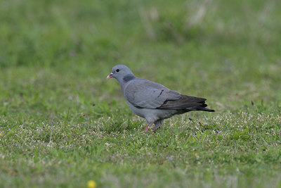 BUITEN BEELD Foto: 2272