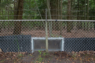 BUITEN BEELD Foto: 2289