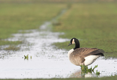 BUITEN BEELD Foto: 2346