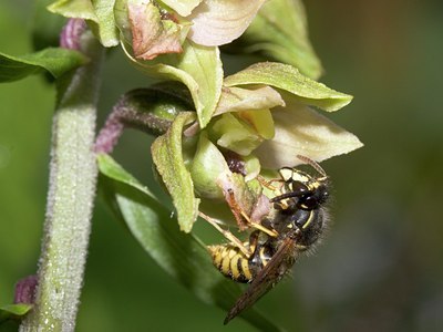 BUITEN BEELD Foto: 2351