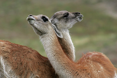 BUITEN BEELD Foto: 2440