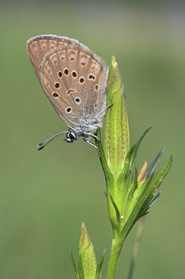 BUITEN BEELD Foto: 2443