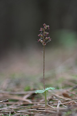 BUITEN BEELD Foto: 2471