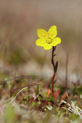 BUITEN BEELD Foto: 2491