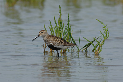 BUITEN BEELD Foto: 2516