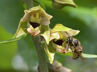 BUITEN BEELD Foto: 2586