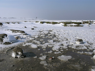 BUITEN BEELD Foto: 2693