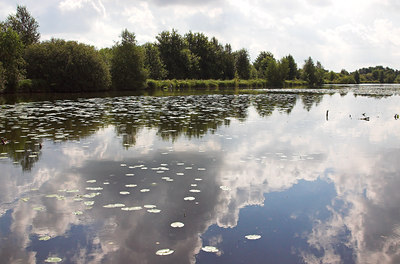 BUITEN BEELD Foto: 2695