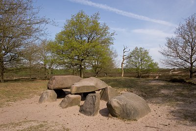 BUITEN BEELD Foto: 2731