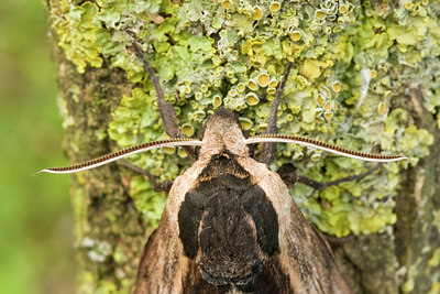 BUITEN BEELD Foto: 2766