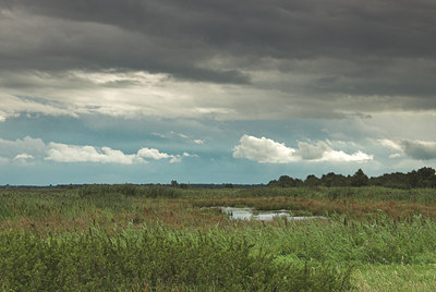 BUITEN BEELD Foto: 2783