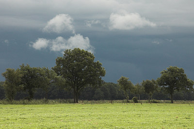 BUITEN BEELD Foto: 2784